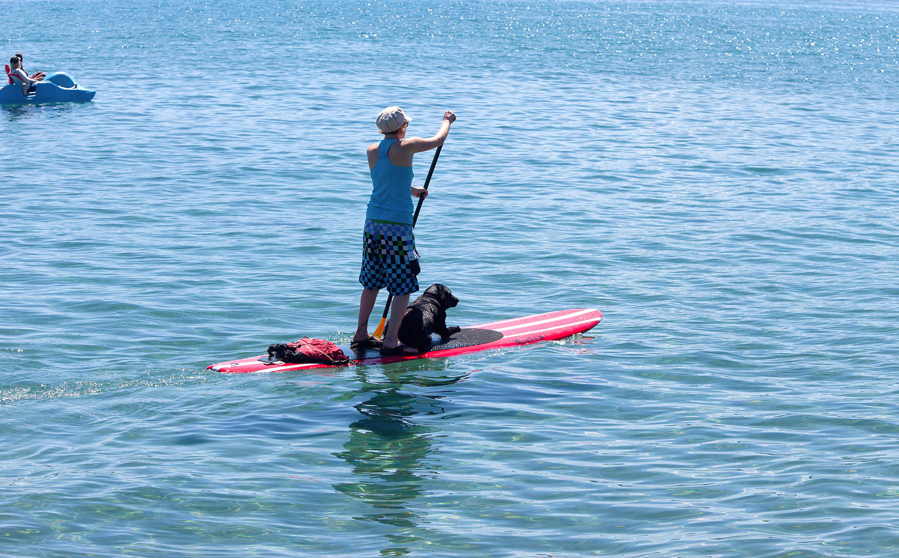 Planning a Pet-Friendly Vacation in Lake Tahoe