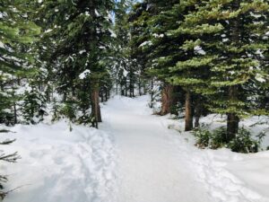 Snowshoeing in Lake Tahoe’s Backcountry