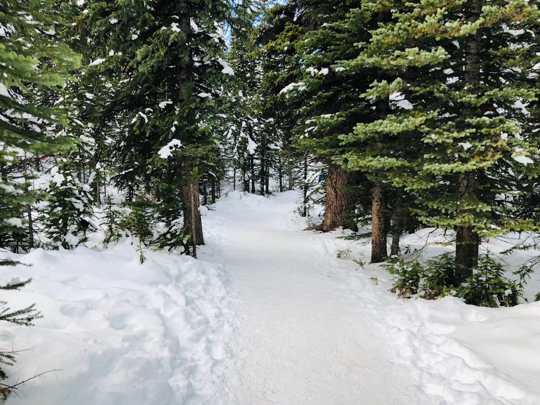 Enjoy Lake Tahoe - Snowshoeing in Lake Tahoe’s Backcountry